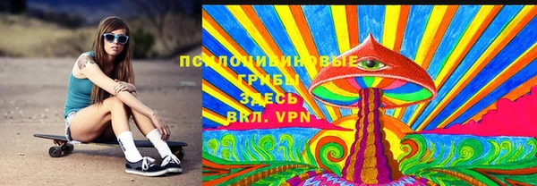 дмт Кукмор