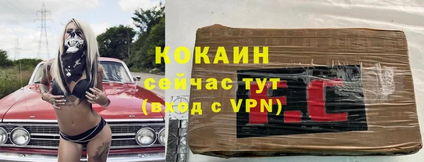 Альфа ПВП Кулебаки