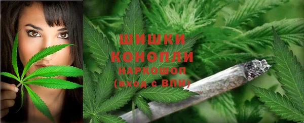 Альфа ПВП Кулебаки
