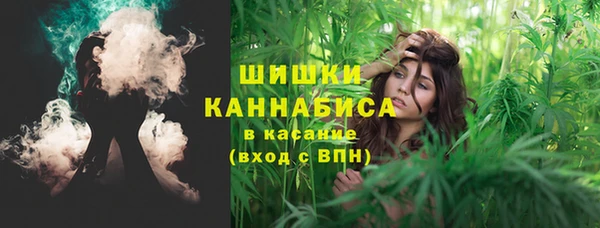 дмт Кукмор