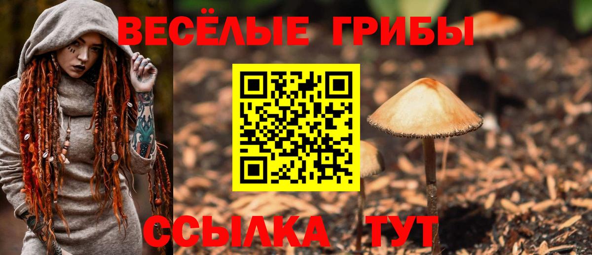 Псилоцибиновые грибы Magic Shrooms  Галлюциногенные грибы мухоморы  Тула  Вход с VPN 