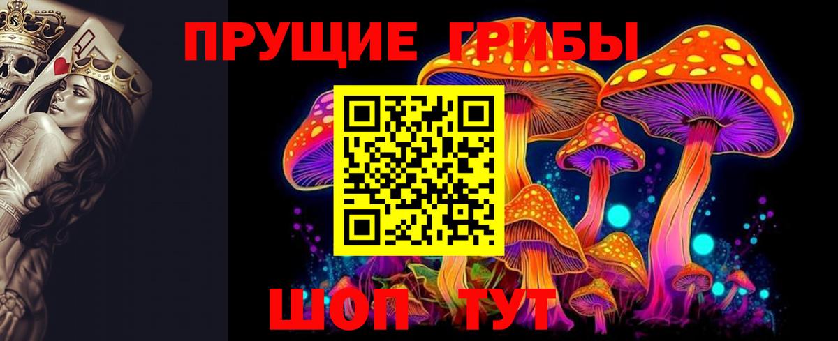 Галлюциногенные грибы Magic Shrooms Тула
